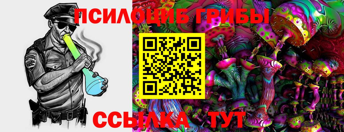 Галлюциногенные грибы Psilocybine cubensis Шелехов