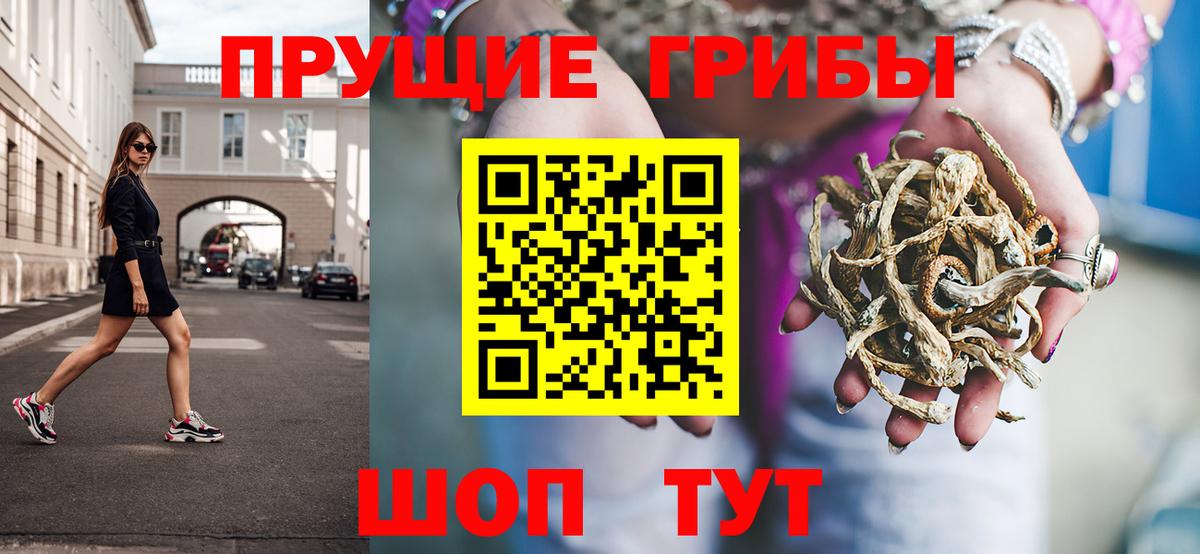 Псилоцибиновые грибы Cubensis  Галлюциногенные грибы ЛСД  Вход с VPN  Шелехов 